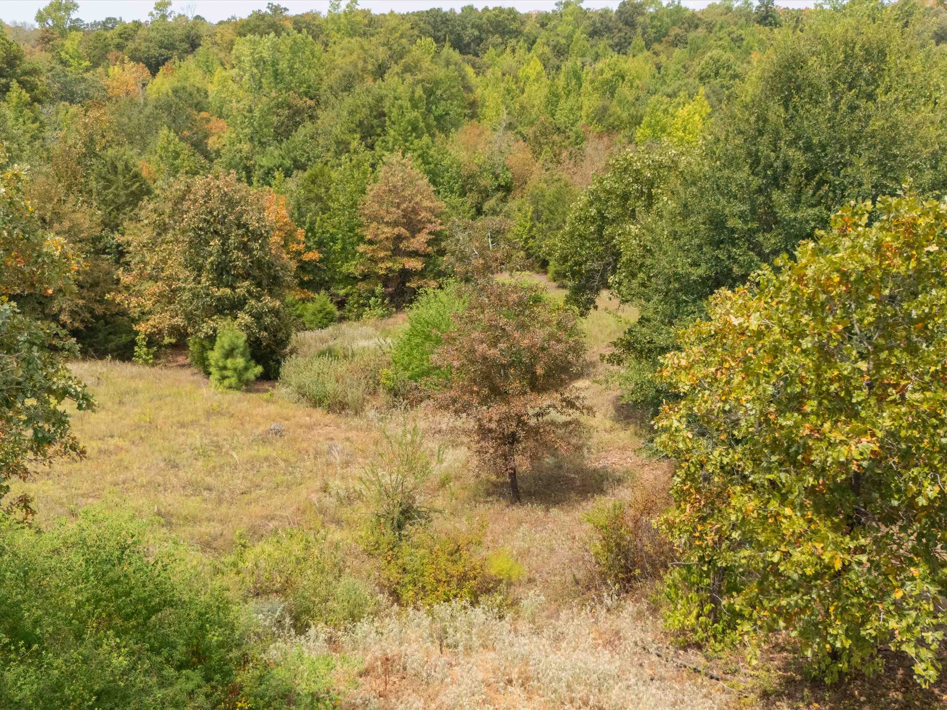TBD Silk Tree Rd