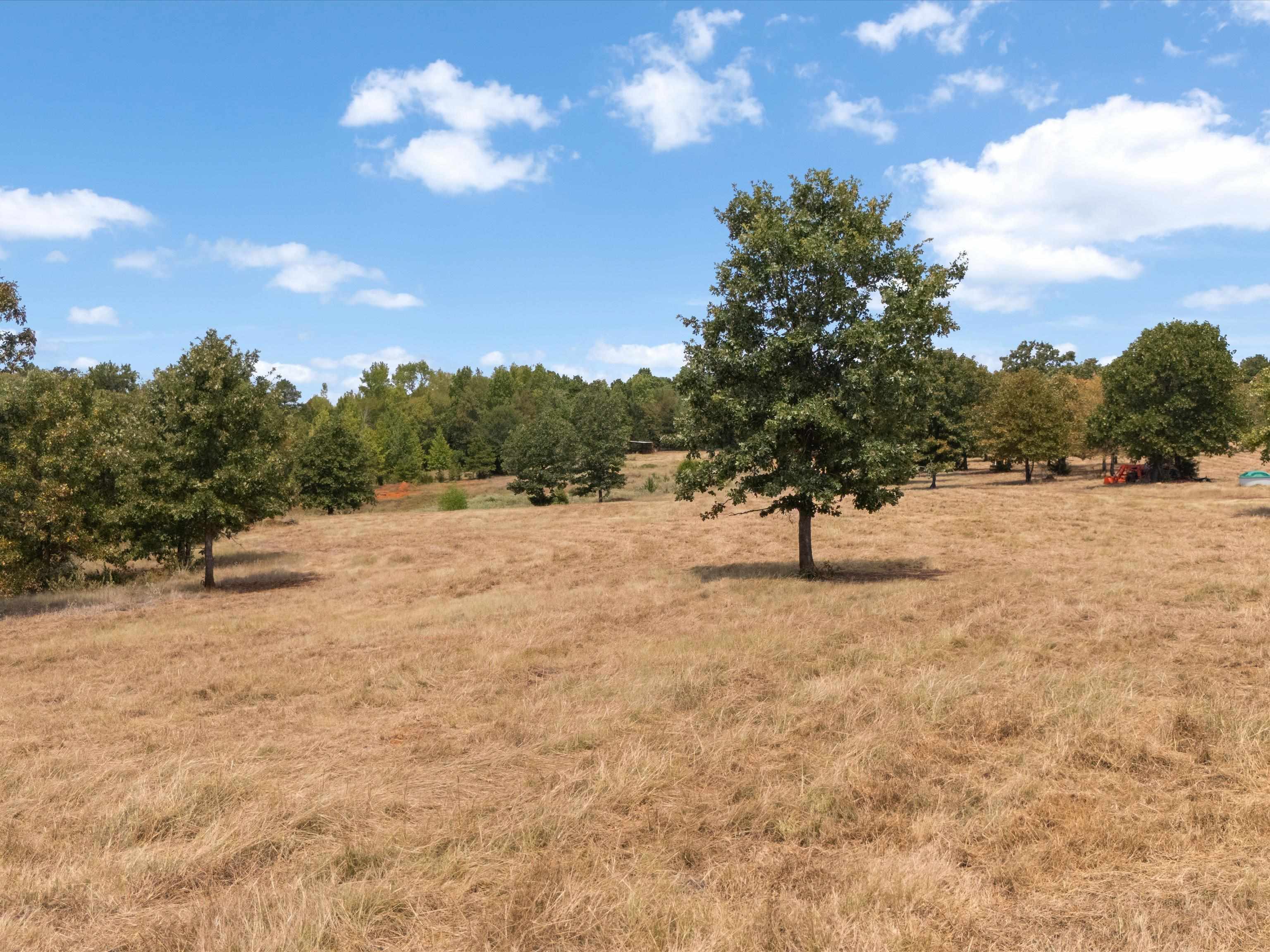 TBD Silk Tree Rd