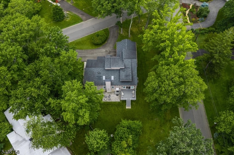 19 Erskine Dr