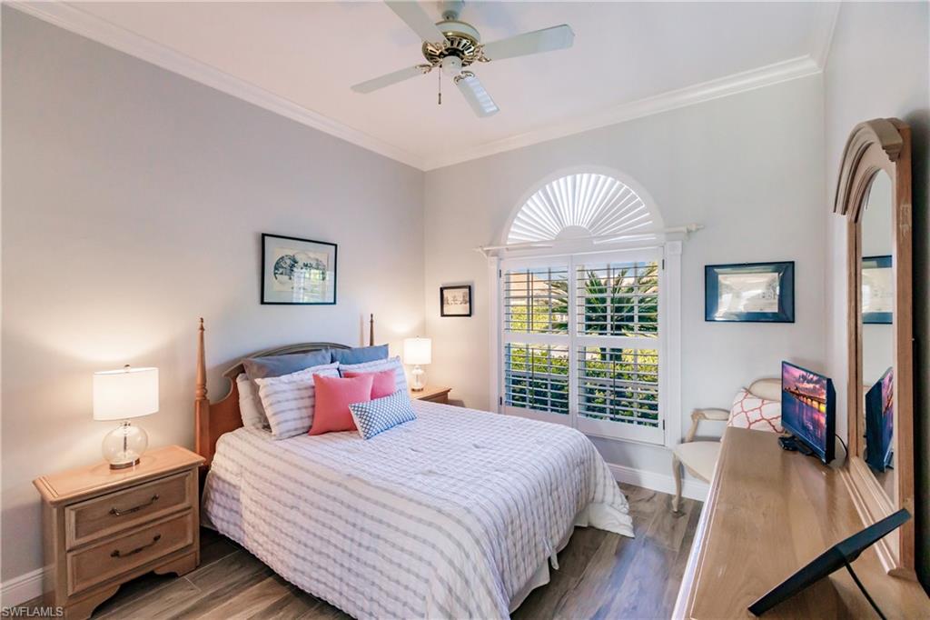 816 Amazon CT