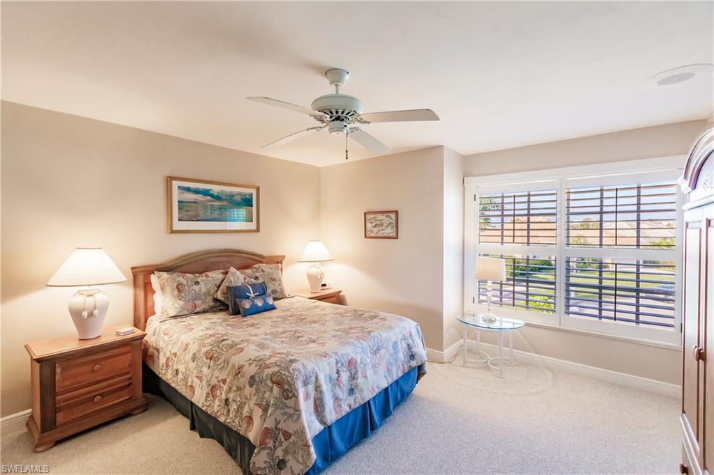 816 Amazon CT