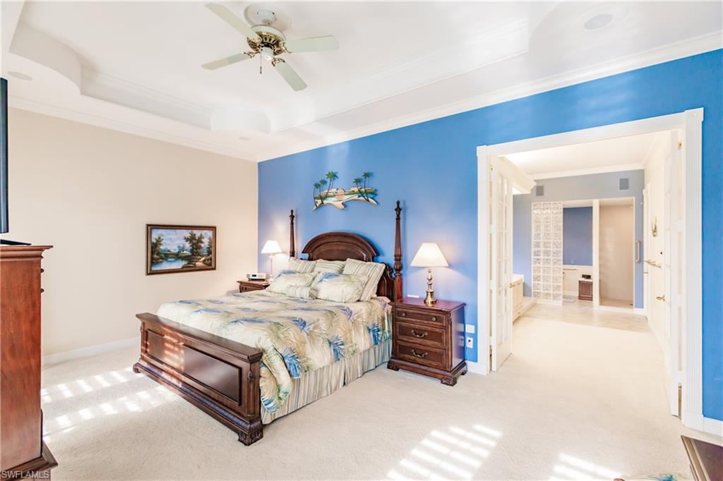 816 Amazon CT