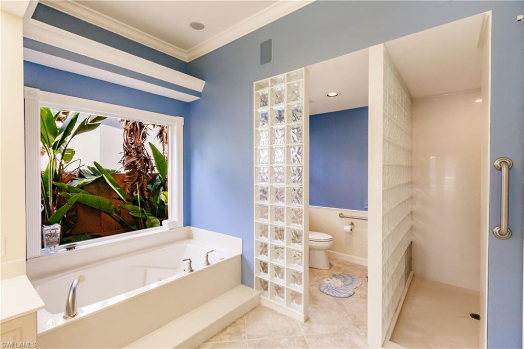 816 Amazon CT