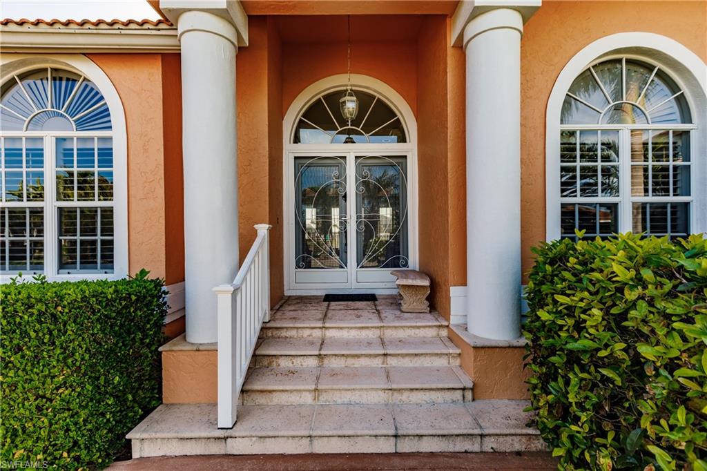 816 Amazon CT