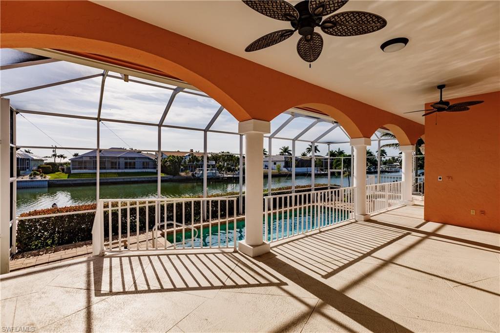 816 Amazon CT