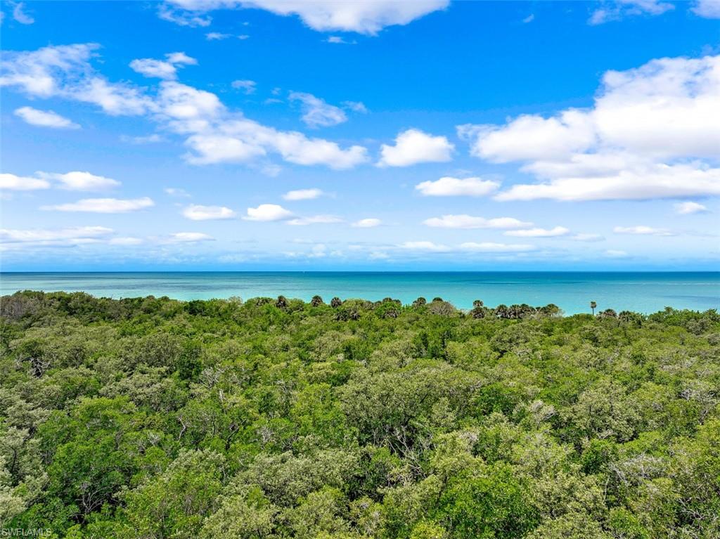 5 Bluebill AVE Unit: 606