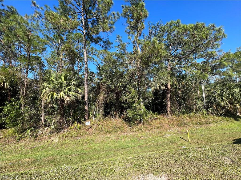 PINE RIDGE RD