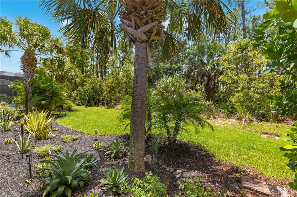 4411 Raffia Palm CIR