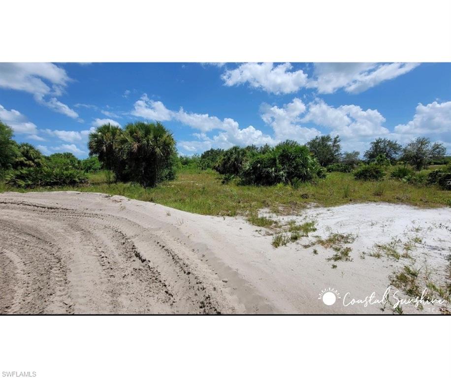 Immokalee RD