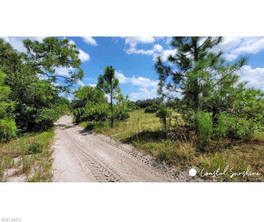 Immokalee RD