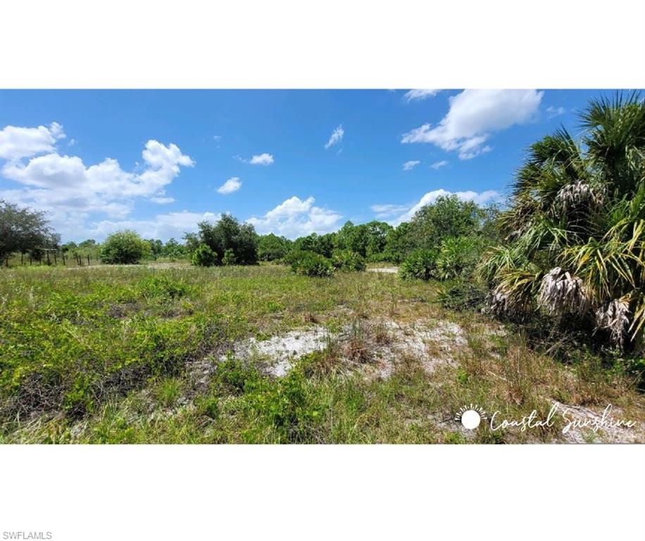 Immokalee RD