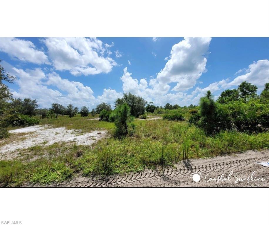 Immokalee RD