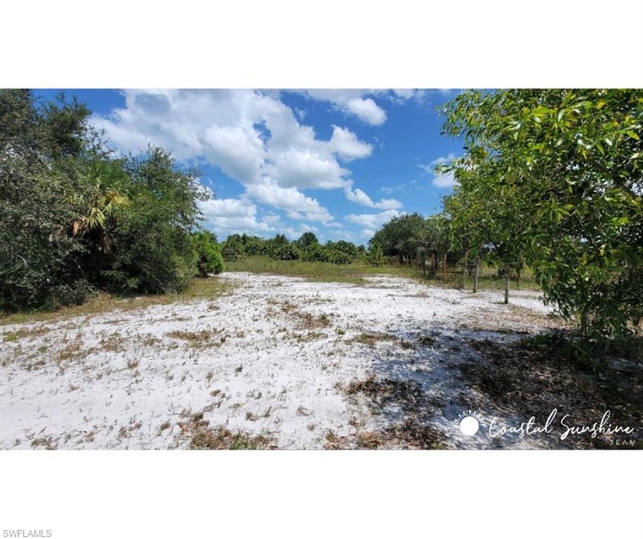 Immokalee RD