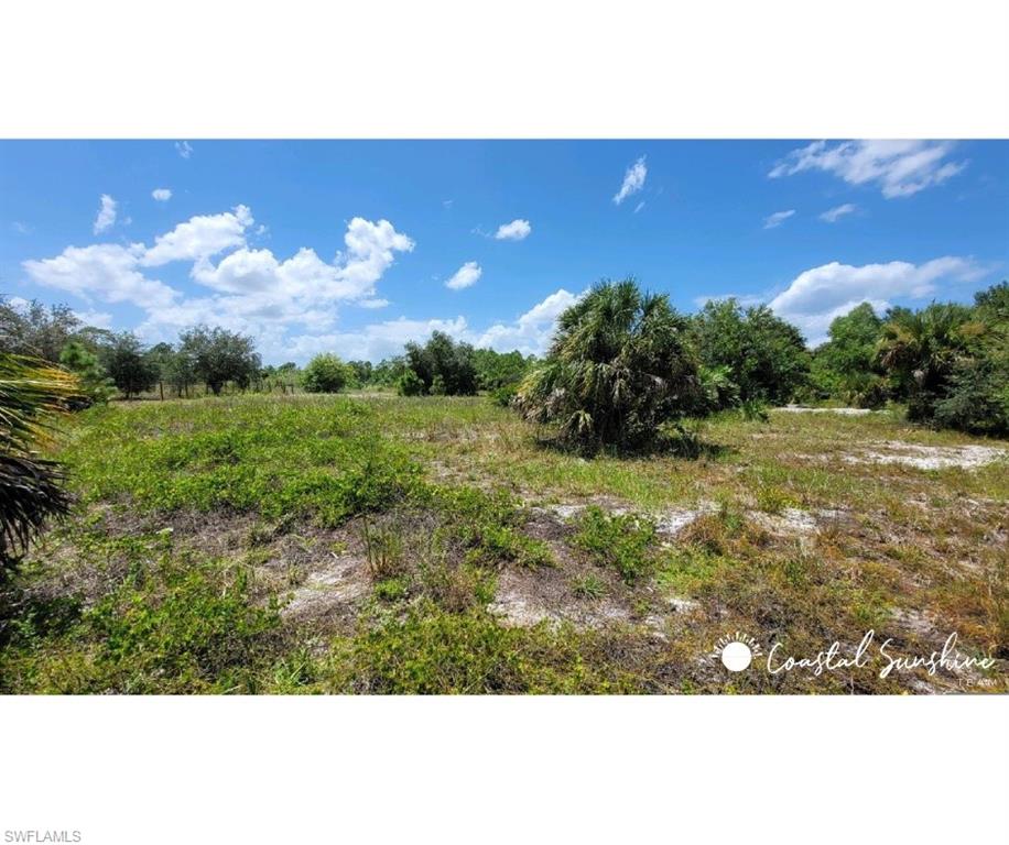 Immokalee RD