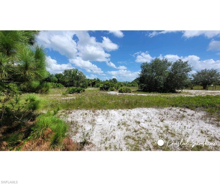 Immokalee RD