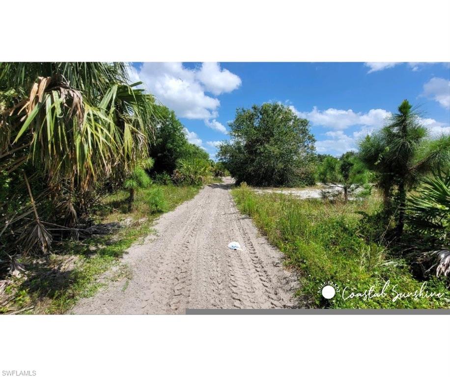 Immokalee RD