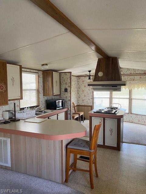 12 Lake Diane DR