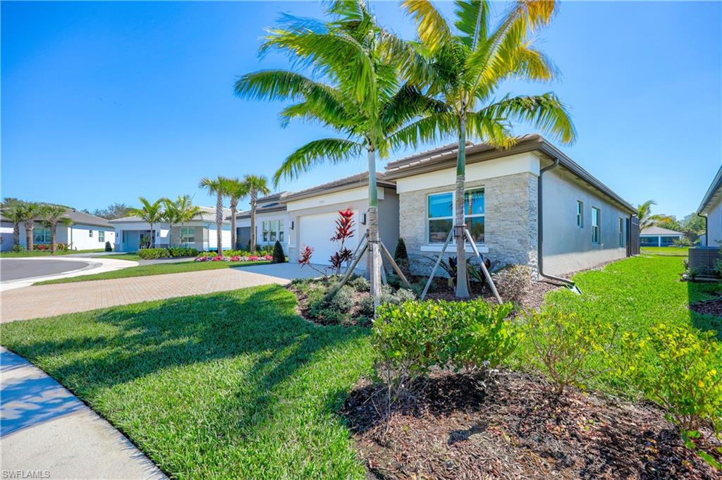 11465 Jacaranda DR