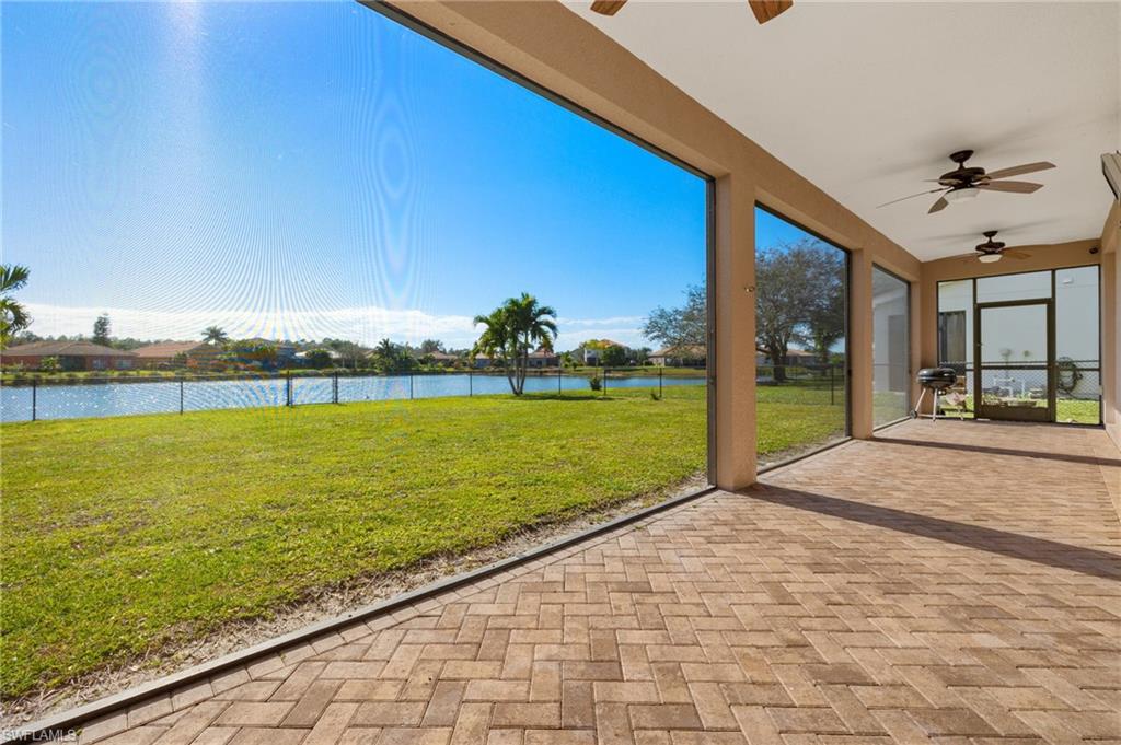 2660 Fishtail Palm CT