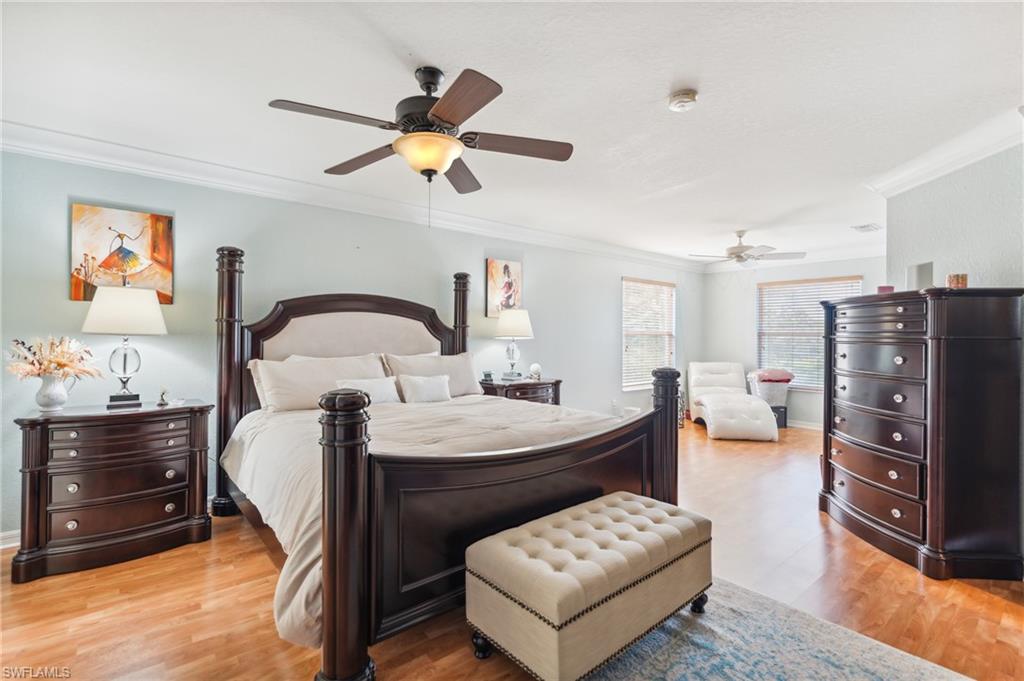 2660 Fishtail Palm CT