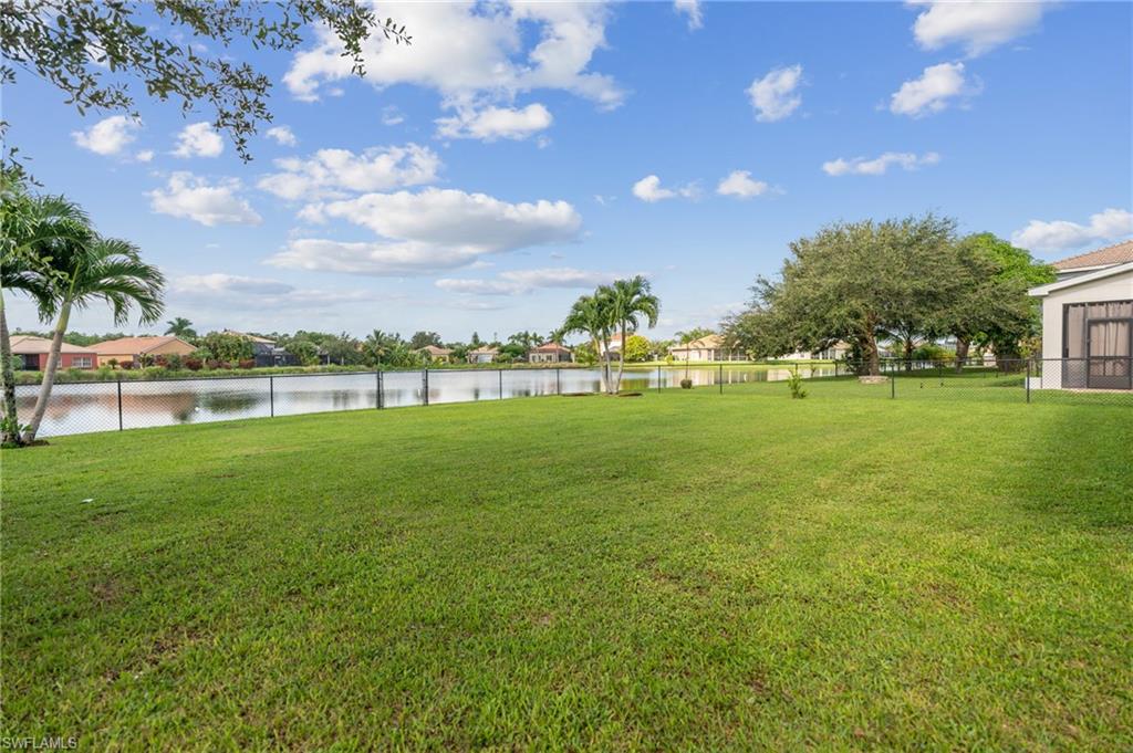2660 Fishtail Palm CT
