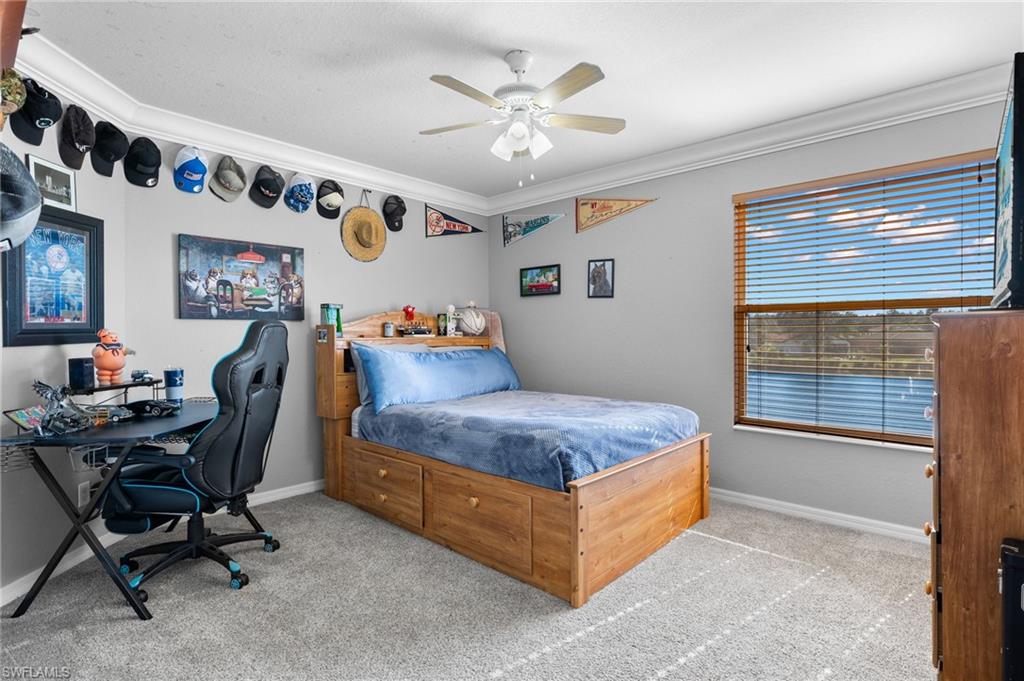 2660 Fishtail Palm CT