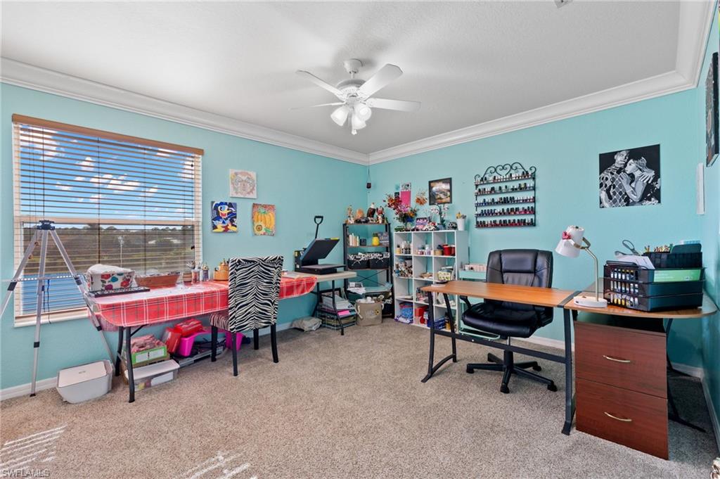 2660 Fishtail Palm CT