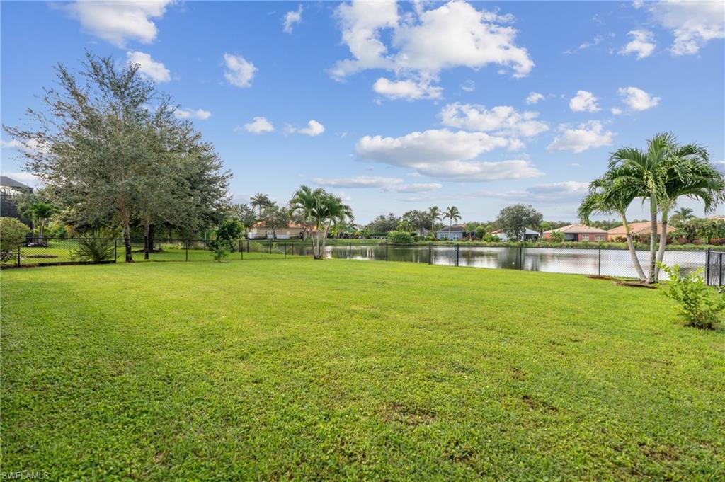 2660 Fishtail Palm CT