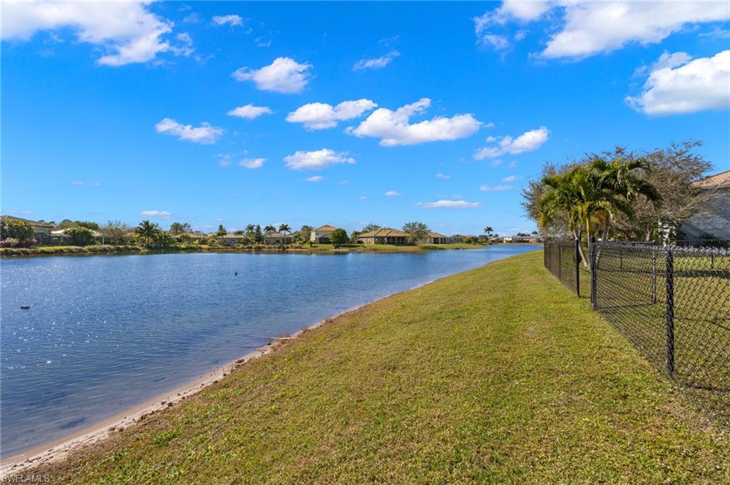 2660 Fishtail Palm CT