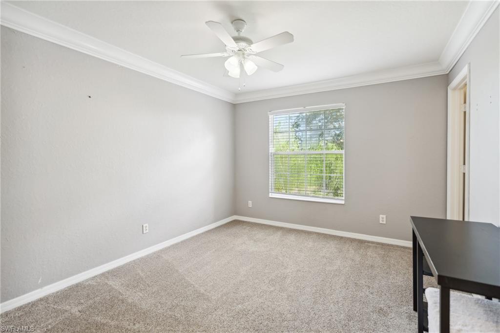 2660 Fishtail Palm CT