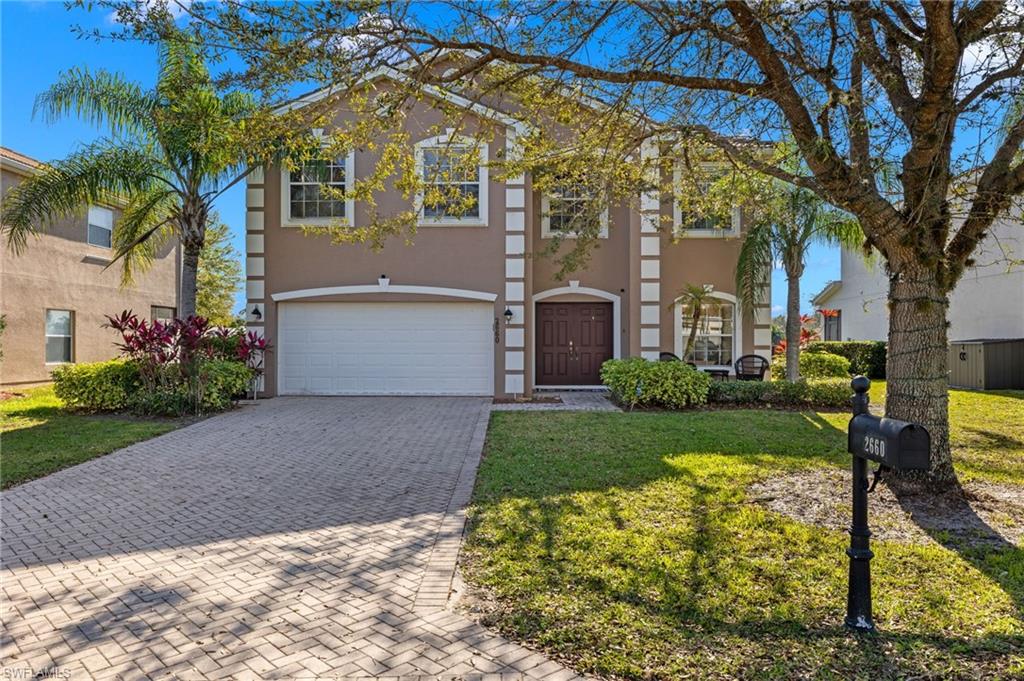 2660 Fishtail Palm CT