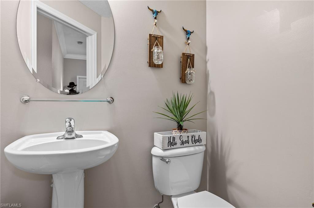 2660 Fishtail Palm CT