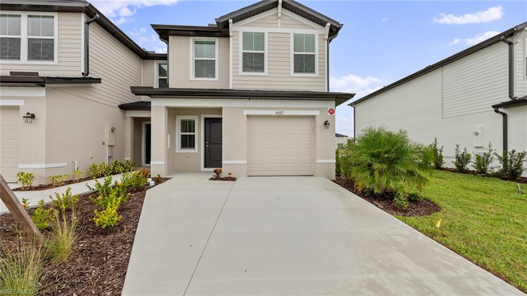 4267 Cirella CT