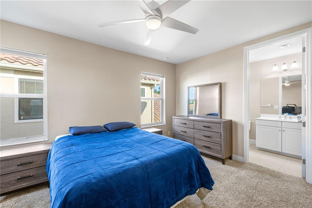3675 Canopy CIR