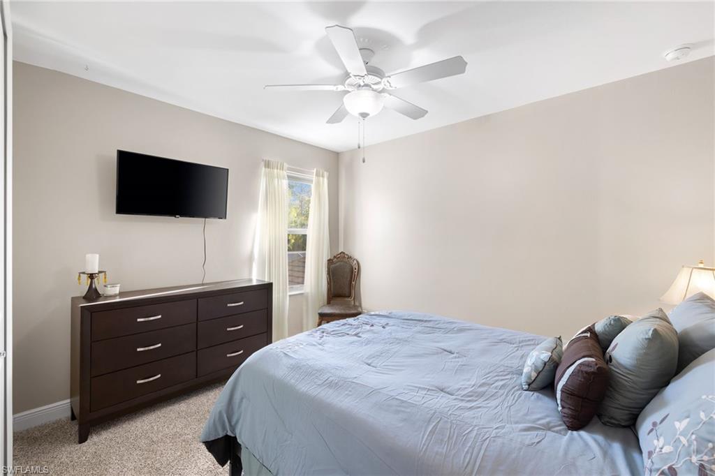 3675 Canopy CIR