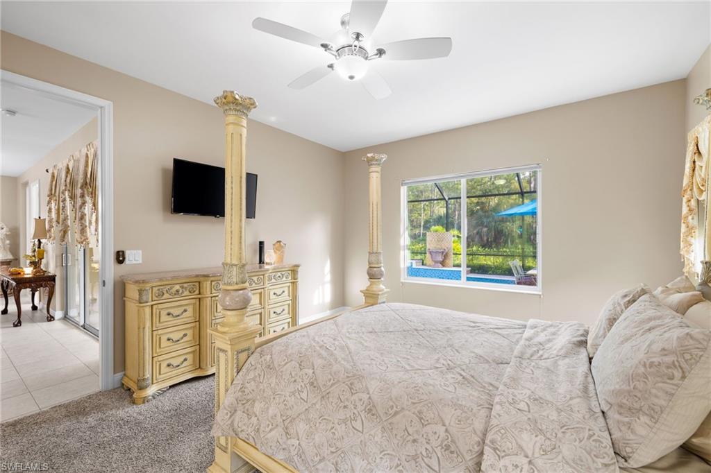 3675 Canopy CIR
