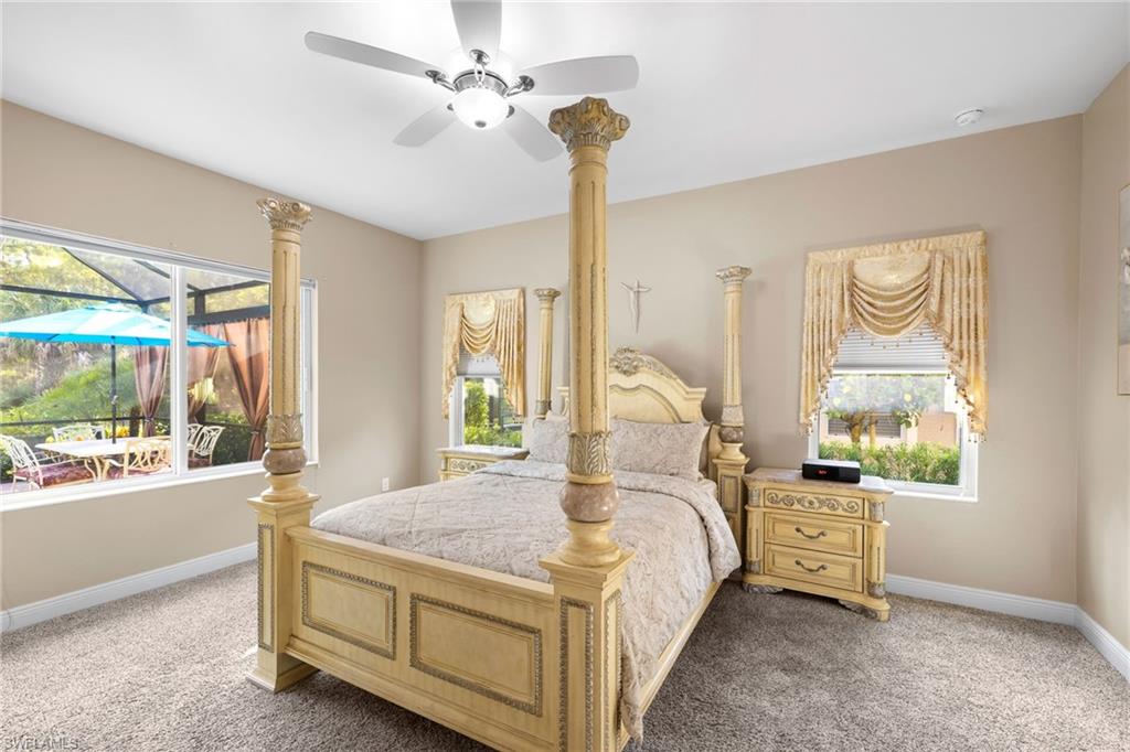3675 Canopy CIR