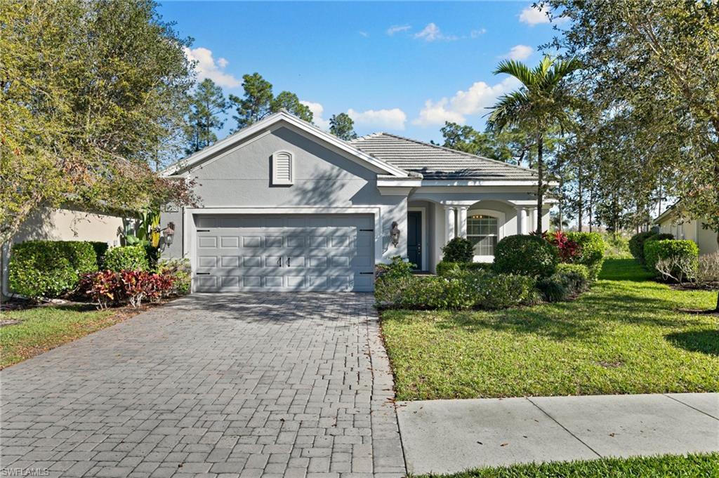 3593 Canopy CIR