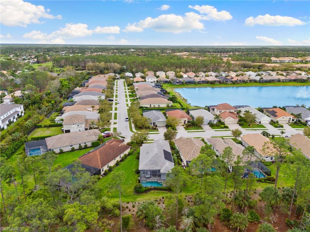 3593 Canopy CIR