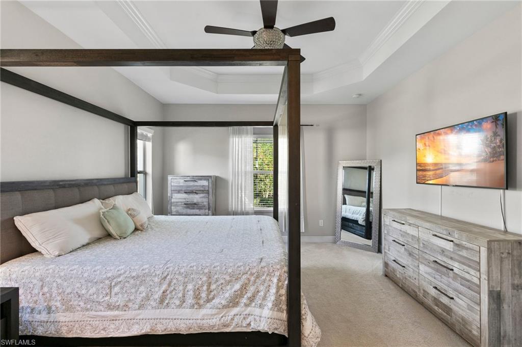3593 Canopy CIR