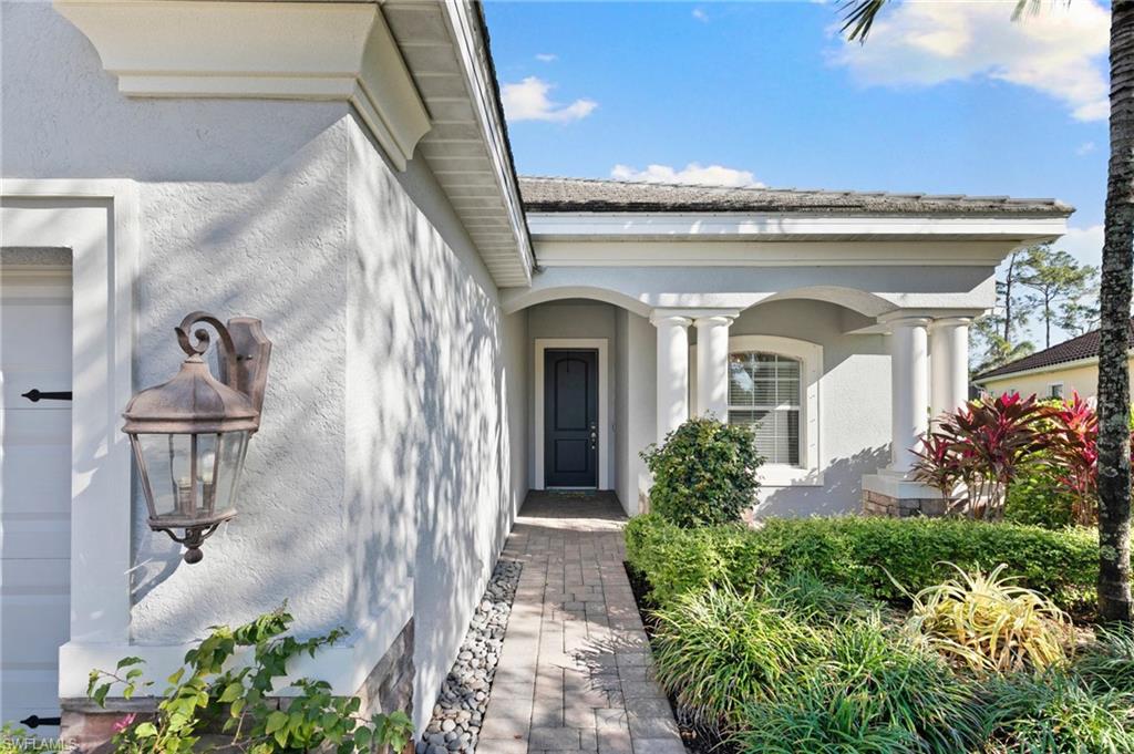 3593 Canopy CIR