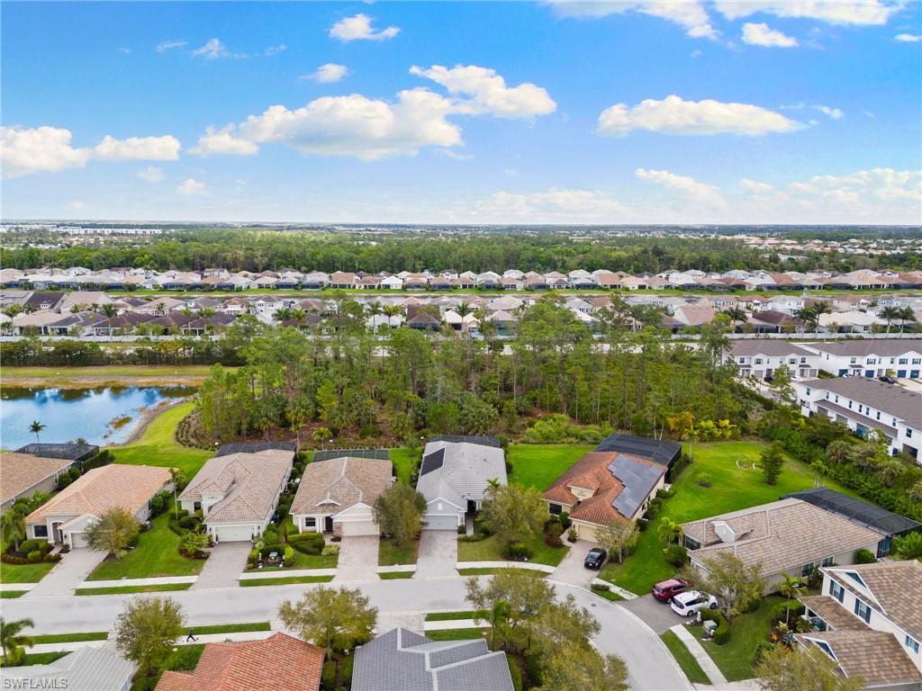 3593 Canopy CIR