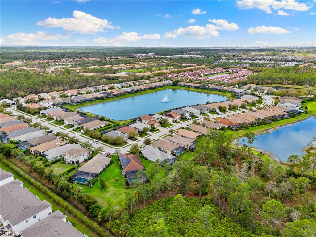 3593 Canopy CIR