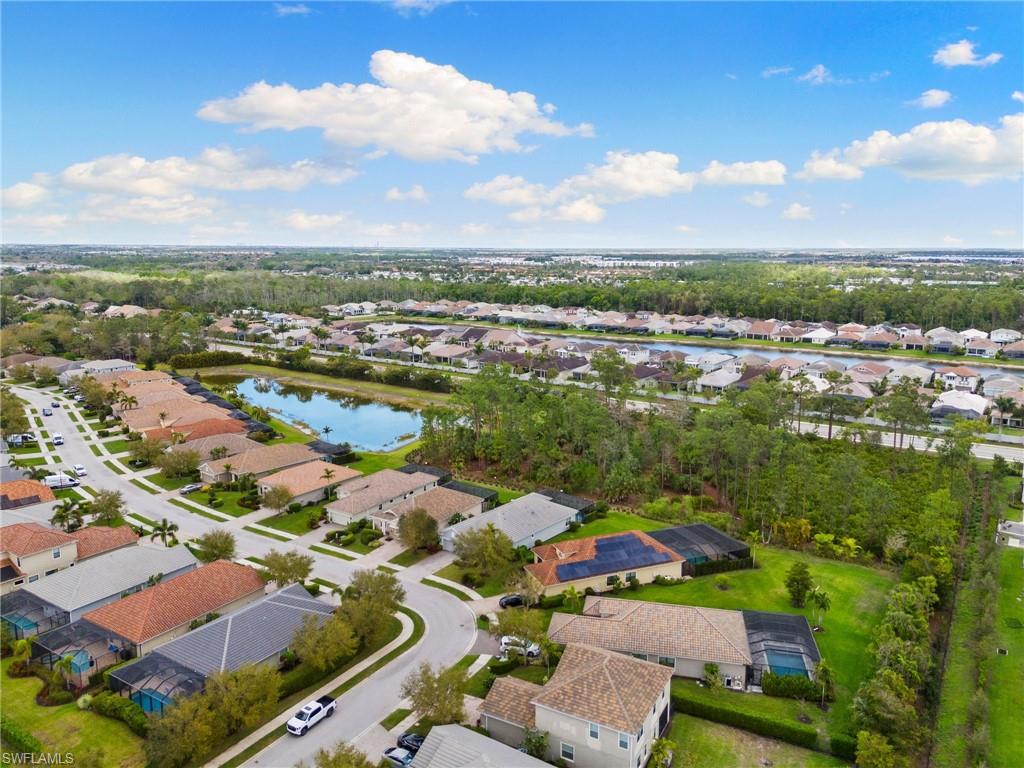 3593 Canopy CIR