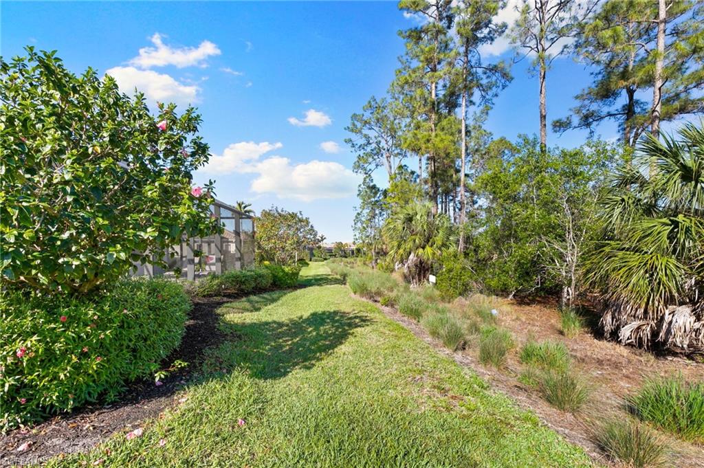 3593 Canopy CIR