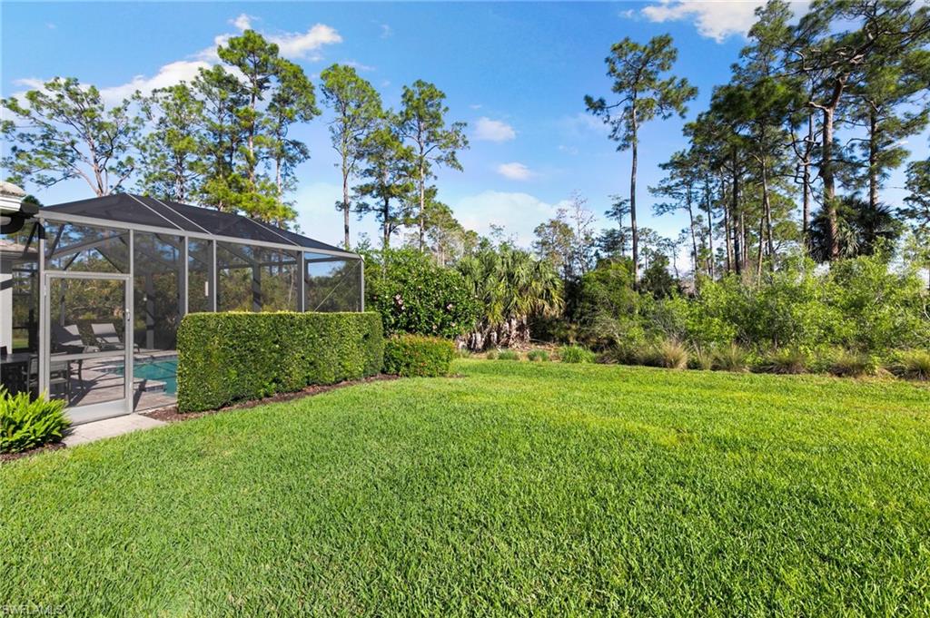 3593 Canopy CIR
