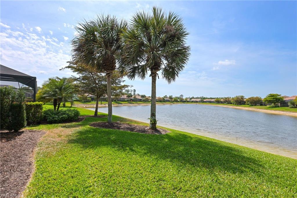 7128 Lily WAY