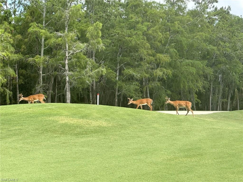 3715 Buttonwood WAY # 1711