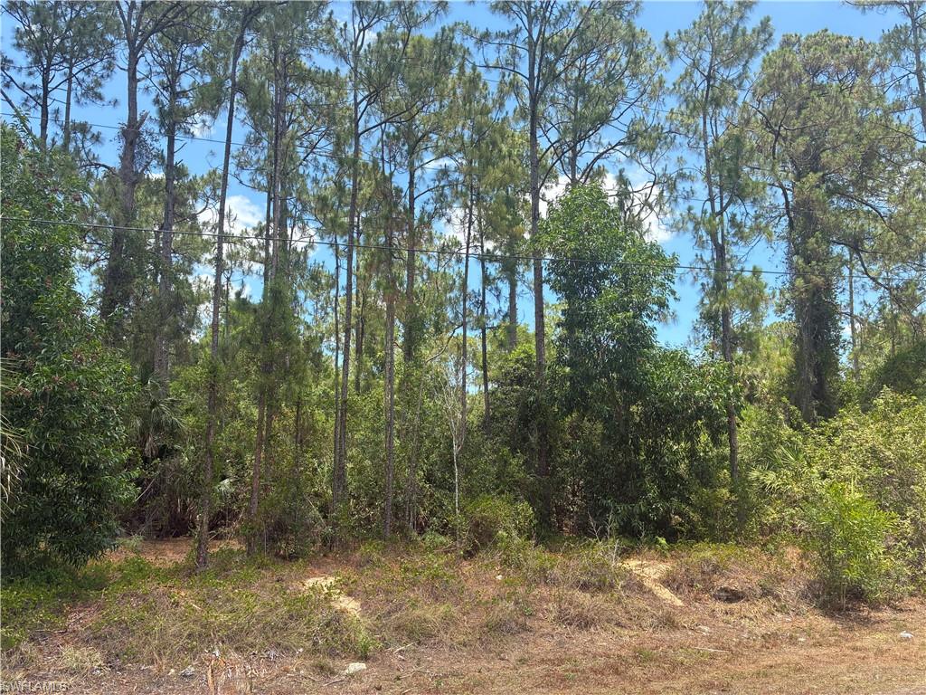 5043 Palmetto Woods DR