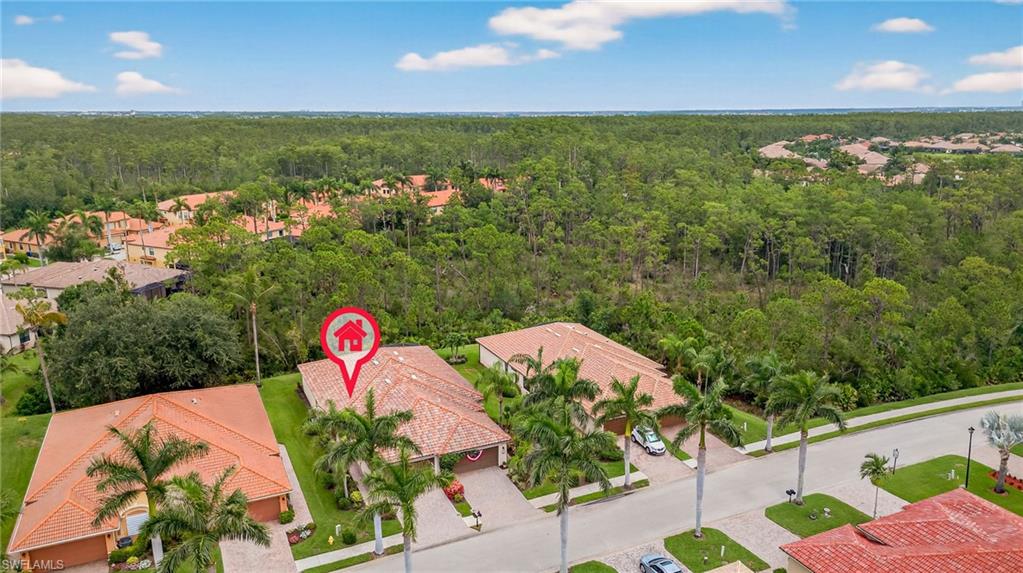 11341 Red Bluff LN